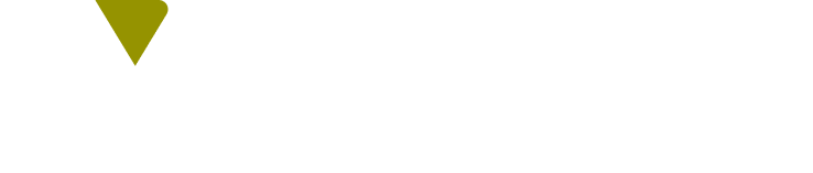 Magnitud Group